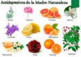 /album/galeria-fotografica/hierbas-depresion-2-jpg1/